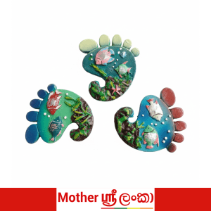 Sri Lanka Fish Fridge Magnet – Colorful Underwater Souvenir Magnet
