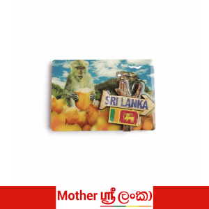 Sri Lanka Monkey Drinking Thambili Coconut Fridge Magnet – Tropical Souvenir