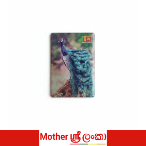 Sri Lanka Peacock Fridge Magnet – Colorful Wildlife Souvenir Magnet