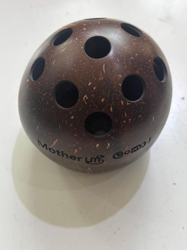 Coconut Shell Pen Holder