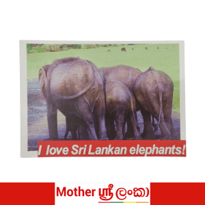 I Love Sri Lankan Elephants Postcard – Mother Sri Lanka Collection