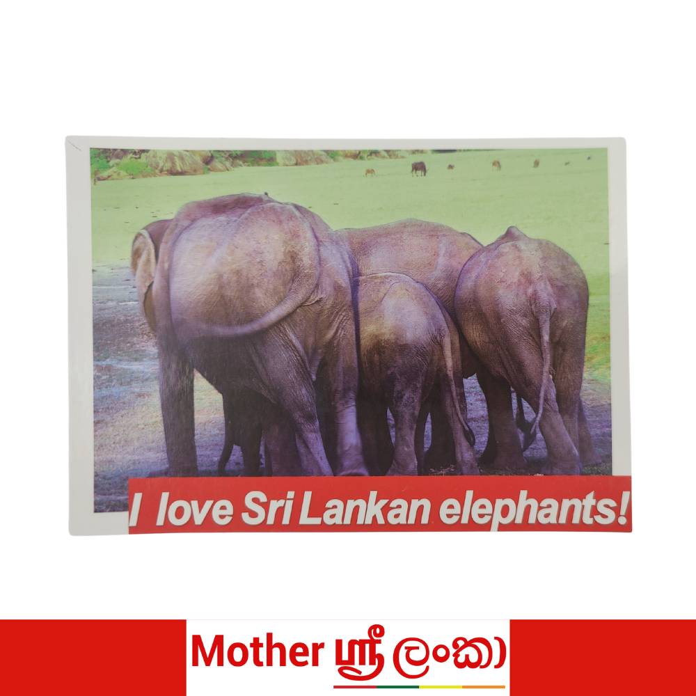 I Love Sri Lankan Elephants Postcard – Mother Sri Lanka Collection
