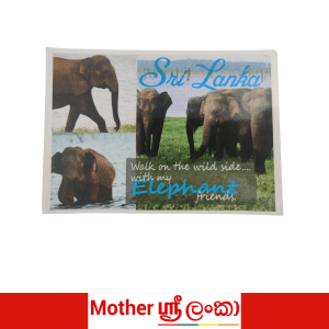 Sri Lanka Elephant Wildlife Postcard – Walk on the Wild Side | Mother Sri Lanka Collection