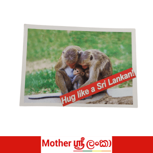 Hug Like a Sri Lankan! – Monkey Family Love | Mother Sri Lanka Postcard