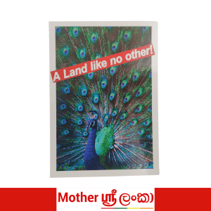 A Land Like No Other Peacock Postcard – Mother Sri Lanka Collection