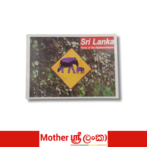 Sri Lanka Elephant Crossing Postcard – Wildlife Travel Souvenir Card